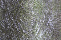 Wotton Cross fibreglass roof work